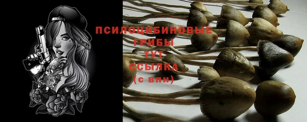 тгк Алексин