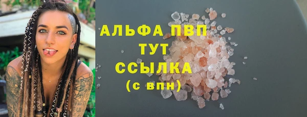 тгк Алексин