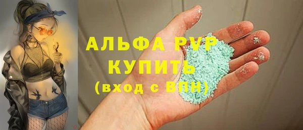 индика Надым