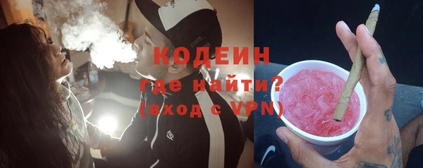 индика Надым