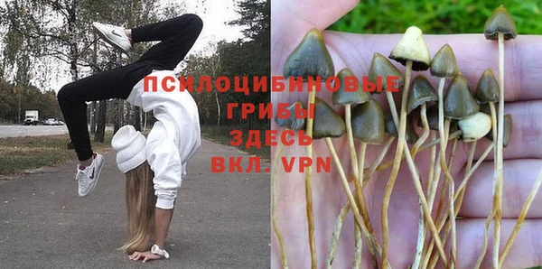 тгк Алексин